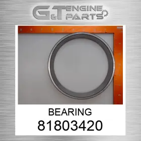 81803420 Case Replacement Bearing Fits New Aftermarket