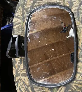 83957184 Cnh Mirror