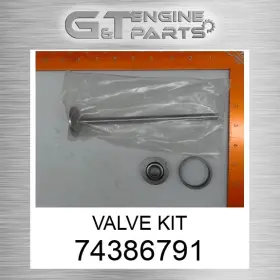 74386791 International Truck Replacement Valve Kit Fits Surplus Open Box