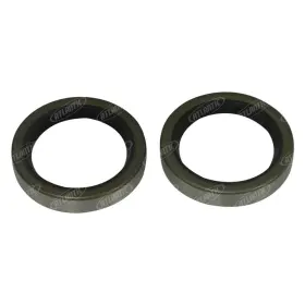 1014202m1 Stevens Lake Parts Qty 2 Inner Rear Axle Shaft Seal Fits Massey Ferguson Replaces