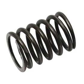825186m1 Stevens Lake Parts S.61906 Valve Spring Fits Massey Ferguson