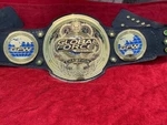 Global Force Championship Belt 4MM Zinc 24KT Gold Plated!. Price: $302.31.