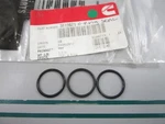 New Oem (lot Of 3) 3819871 Cummins O-ring Seal 0810. Price: $11.00.