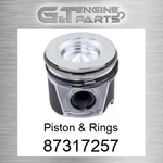 87317257 (1931225 8094854) Piston & Rings Reliance Power (new Aftermarket). Price: $175.02.