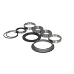 Axle Bearing Kit Fits New Holland L160 L170 L565 LS160 LS170 LX565 LX665 B93174. Price: $86.29.