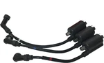 Genuine Kubota Ignition Coil W/caps DF752 DF972 DG972 WG752 WG972 EG561-68902 New. Price: $247.18.