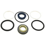 Steering Cylinder Seal Kit New Holland Tc 15 20 Series & Case Ih Dx. Price: $42.97.