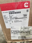 Oem Genuine Cummins 4352365 Egr Cooler Isx, ISX12G 2012-2017 New. Price: $2680.99.